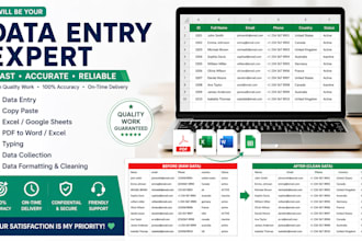 data entry in excel and google sheets