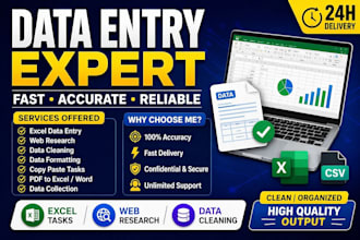 do data entry, web research, excel tasks, data cleaning and formatting