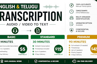 provide manual english and telugu transcription