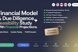 build a financial model and feasibility study with financial projections
