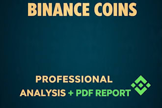 do crypto research on binance coins and provide detailed report