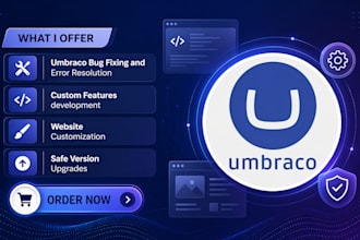 fix customize umbraco website bugs fix liquid errors upgrade custom features