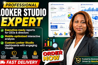 deliver professional data visualization and reporting using looker studio