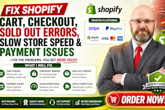 fix shopify cart checkout sold out errors slow store speed  payment issues