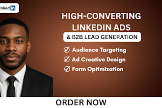 setup, manage linkedin ad campaigns for b2b