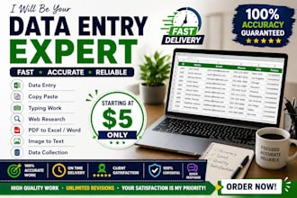 do data entry, copy paste, typing and excel work