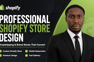 build a professional shopify dropshipping or brand store