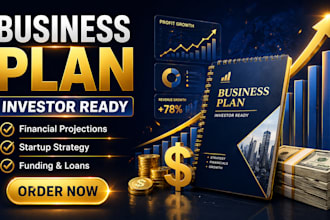 write a professional business plan, investor ready plan, financial projections