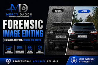 forensic video and image editing, enhancement, restoration plate number clean up