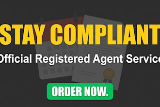 set up your USA llc,  and registered agent, llc formation
