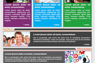 organize and write clear professional content
