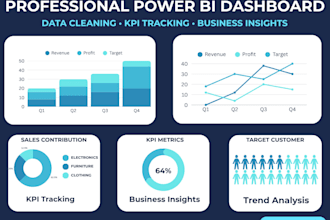 create a professional power bi dashboard and business intelligence report