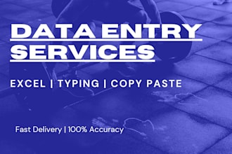 data entry and excel spreadsheet work