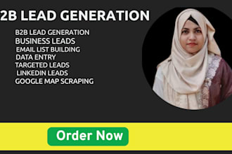 do b2b lead generation, email marketing and SEO optimization