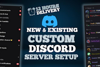 setup new discord and existing discord server setup within 12 hours