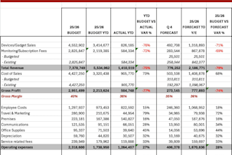 build a professional budget and forecast for your business