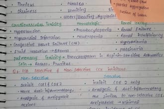 serve handwriting and essay services along with italian and english translations