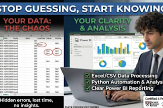 fix your messy excel data and provide business insights