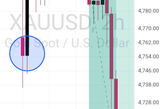teach you forex trading with live market analysis