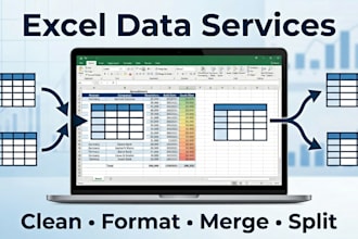 clean, format, merge, split excel data