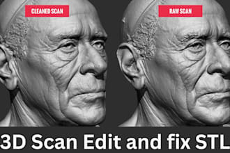 edit and fix 3d stl model, 3d scanned model for 3d printing cad stp model