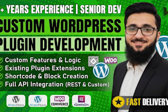 custom wordpress plugin development and rest API integration
