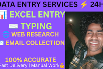 create charts graphs and excel data entry 24h