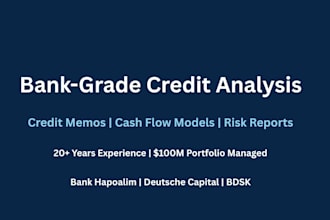 write a professional bank grade credit analysis memo