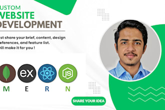 deliver custom web design and full stack service