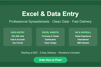 create excel spreadsheets and data entry for your business