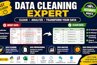 do data cleaning, preprocessing, and data analysis in python