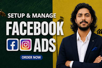 set up and manage facebook and instagram ads campaign for leads or sales