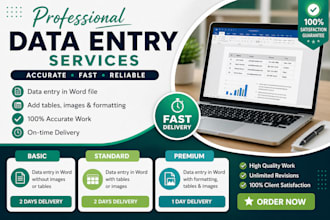 do data entry professional and quickly