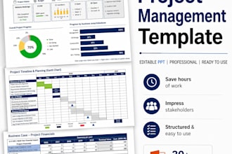 create a professional project management PPT template