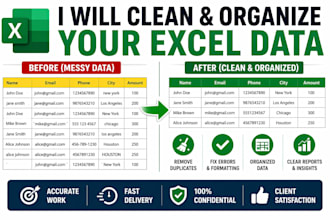 clean and format messy excel data professionally