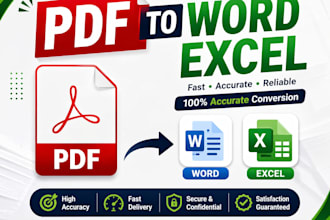 do professional PDF to word conversation