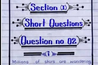 do professional handwriting ,assignments and notes