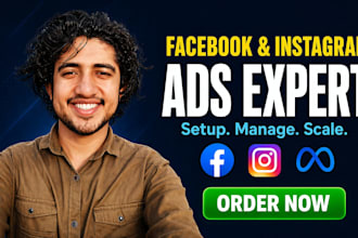 setup and manage facebook ads and instagram meta ads campaigns with capi