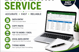 iwilll do accurate data entry, copy paste and typing work