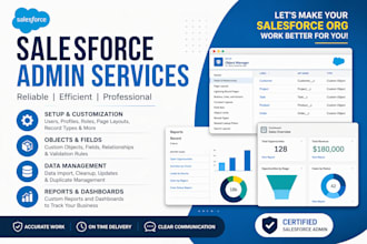 customize your salesforce org, objects, fields and admin tasks