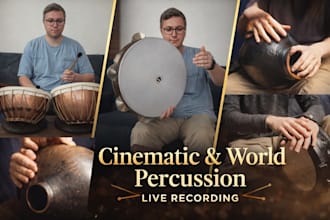 record conga bongo darbuka davul raga taiko cymbals shakers