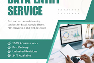 do   fast and accurate  data entry in excel and google sheets