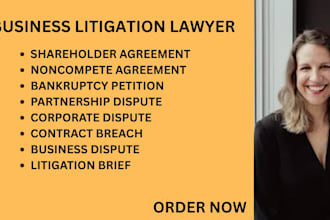 handle bankruptcy, business disputes,shareholder conflicts and noncompete issues