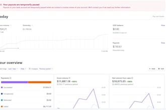 fix stripe payout, transfer or withdrawal issue fast