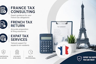 provide france tax consulting, french tax return , expat tax services