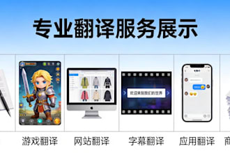 translate any language to chinese accurately and fast