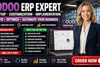 do odoo erp setup customization implementation as an odoo expert