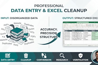 provide professional data entry and excel data cleanup services