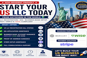 setup US llc, mercury or wise account and stripe integration for USA bank setup