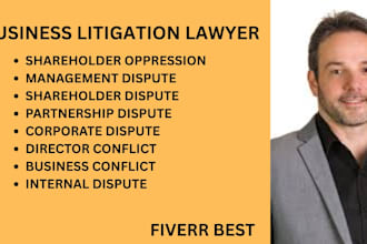 handle business disputes, shareholder oppression, and director conflict cases